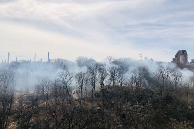 A photo of fires in Central Park